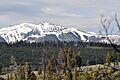 MountWashburnYNPJune2011