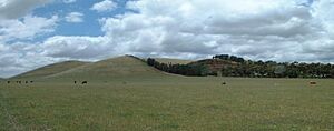 Mount Fraser panorama