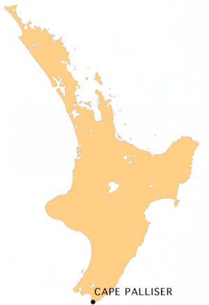 NZ-C Palliser