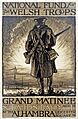 National Fund for Welsh Troops2