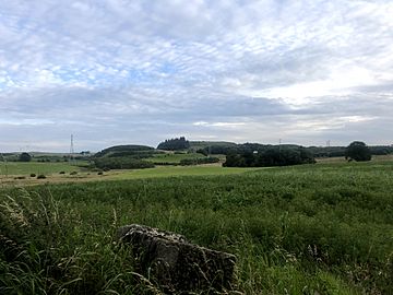 Neilston Pad from Kirkton Road.jpg