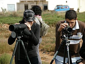 Observación de aves en Nador