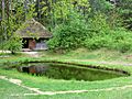 Old Latvian bathhouse with a pond