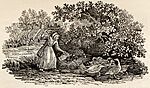 Old Woman with Ducks tail-piece in Bewick British Birds 1804