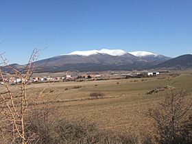 Olvega moncayo al fondo wiki