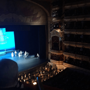 Orchestra of the Bolshoi Theater in the workplace