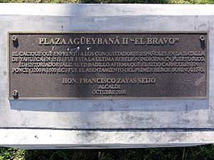 Placa en el Parque Monumento Agüeybaná II, El Bravo, en Ponce, Puerto Rico (DSC02667)