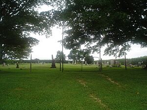 Polo, IL Reed Cemetery 01