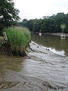 River Tamar from Cotehele Quay - geograph.org.uk - 196017
