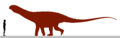Saltasaurus size