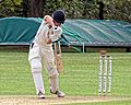 Sandwich Town CC v. MCC at Sandwich, Kent, England 251