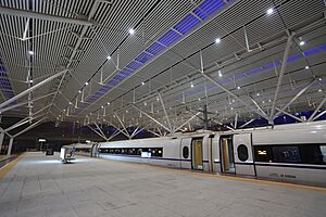 Shenzhen North Railway Station 2014.01.19 22-46-55