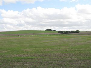 Site of Battle of Roundway Down (geograph 57827).jpg