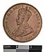 Specimen Coin - 1 Penny, Australia, 1911 (Obverse).jpg