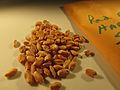 Starr-160125-3568-Triticum aestivum-seeds Red Fife hard red spring wheat-Hawea Pl Olinda-Maui (26852681642)