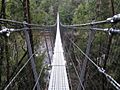 Suspension-Bridge-Huon-River-2008