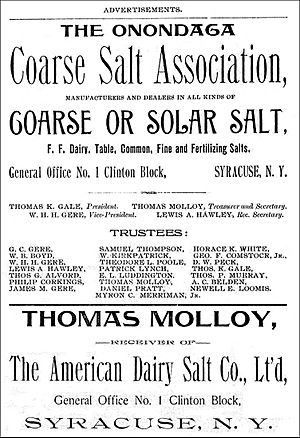 Syracuse 1893 salt