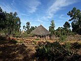 Thatched roofs in Kerene