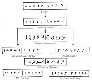 The Brahmi numeral system and its descendants