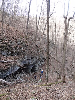 ThumpingDickHollow-Cave1-Entrance