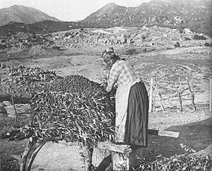 Tongva woman acorns