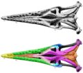Tylosaurus proriger skull ventral labeled