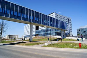 University of Waterloo Engineering 5 Bridge