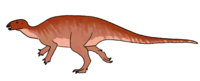 Uteodon reconstruction raingerr.png