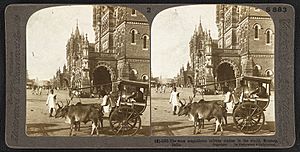 Victoriaterminus1903