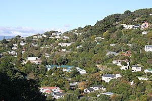 Wadestown from Crofton Downs
