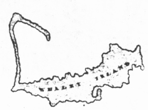 Whale islandmap1833