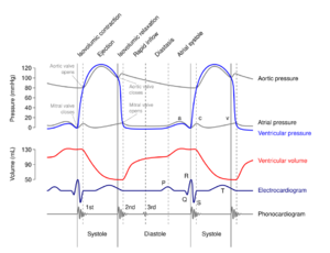 Wiggers Diagram