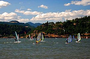 Windsurfers (Hood River County, Oregon scenic images) (hooDA0021a)