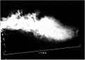 7- to 8-meter-long turbulent multiphase plume from a human sneeze