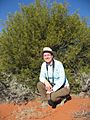 A ligulata habit with person Sturt NP near Tibooburra NSW