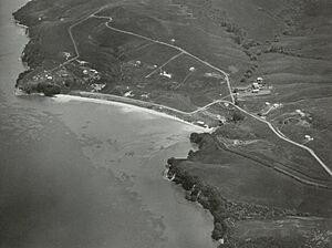 Aerial view of Cockle Bay, Howick, 1928