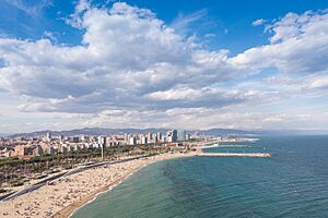 Beaches of Barcelona, Spain (51226454918)