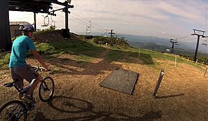 Beech downhill 02