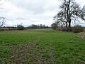 Bugbrooke Meadow nature reserve 1