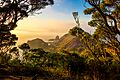 Cape schanck looking towards pulpit rock at dawn