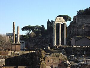 Castor and Pollux