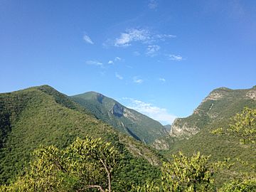 Cerros Sierra Madre Oriental.jpg