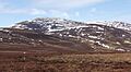 Cheviot0410a