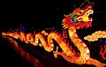 Chinese Dragon 2012