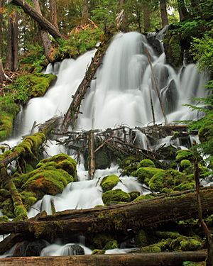 Clearwater Falls, Oregon