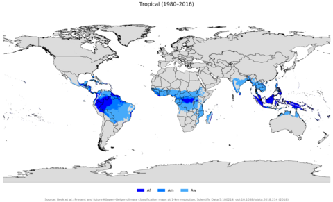 Climas tropicales según la clasificación Koppen-Geiger