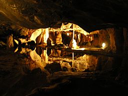Coxs cave Cheddar Gorge.jpg