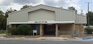 Cross City Town Hall