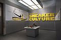 DIG E 2015. Brooklyn Museum.The Rise of Sneaker Culture