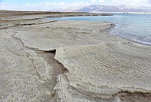 Dead Sea Halite View 031712